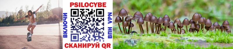Галлюциногенные грибы Psilocybe  Мегион 