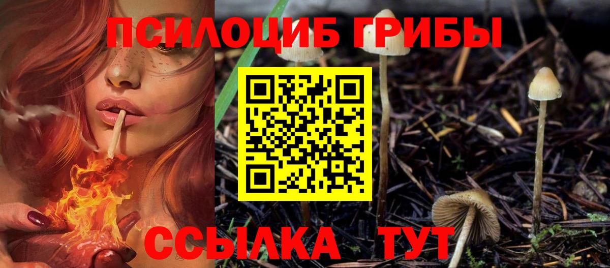 Псилоцибиновые грибы Magic Shrooms  Вход с VPN  Галлюциногенные грибы ЛСД  Мегион 